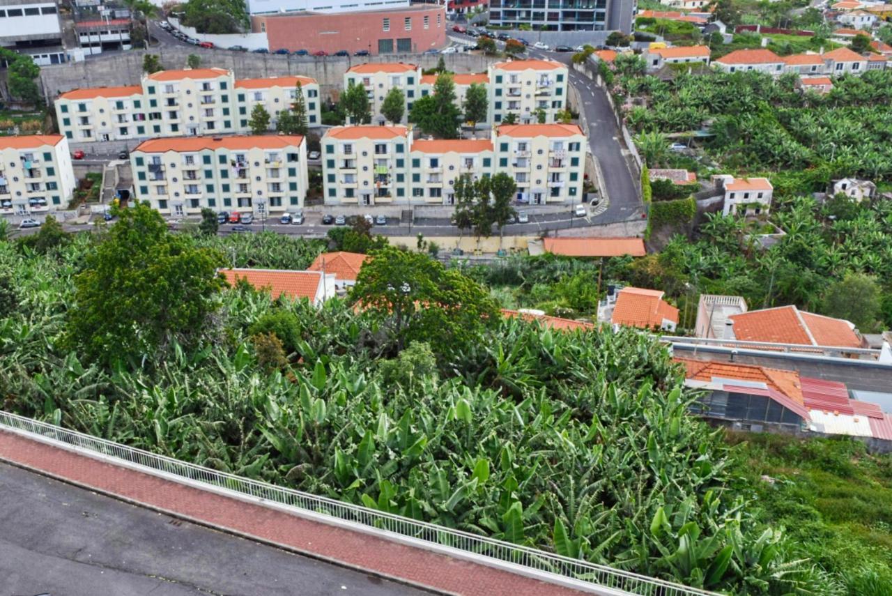 Design Gardens, A Home In Madeira フンシャル エクステリア 写真